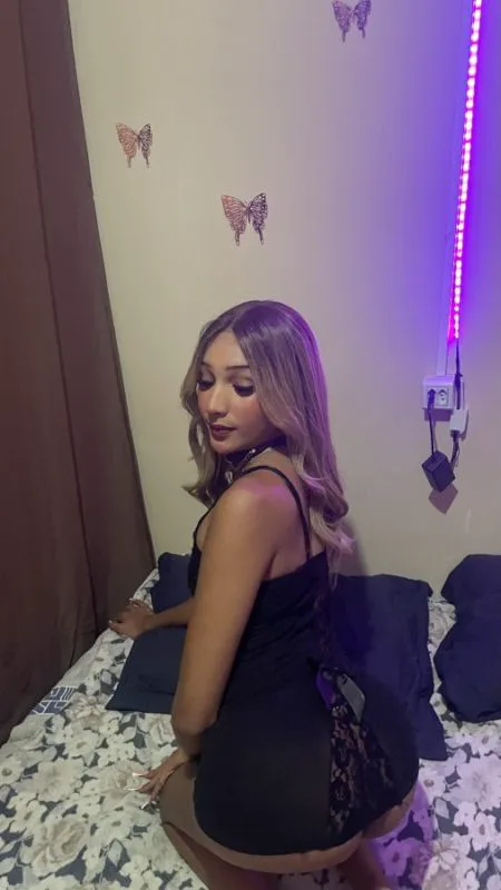 Acompanhante Trans Alice Sampaio em Ribeirão Preto - Foto 13 - Transex Brasil