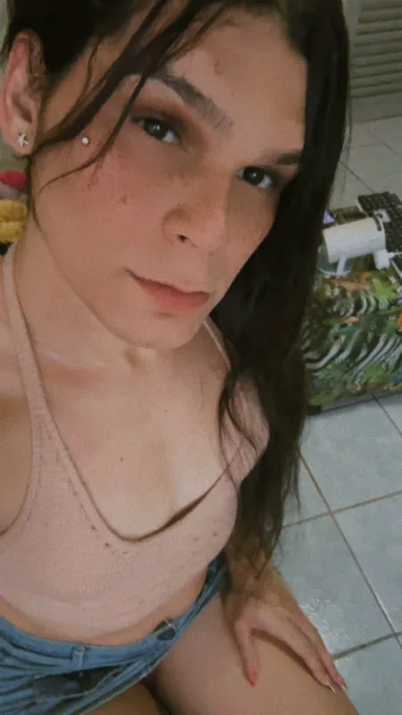 Acompanhante Trans Alicinha Putinha em Paulista