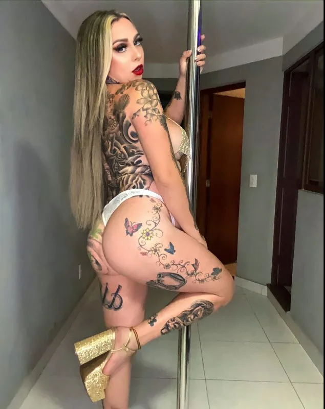 Acompanhante Trans Aline Trans em Limeira - Foto 45 - Transex Brasil