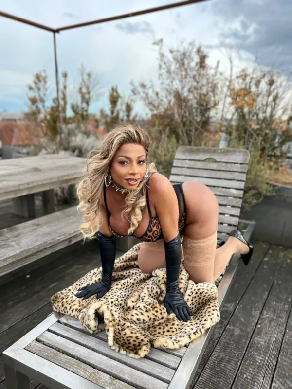 Acompanhante Trans Amanda Castro em São Bernardo do Campo - Foto 45 - Transex Brasil