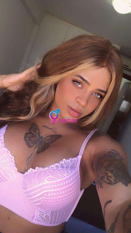 Transex acompanhante Recife,  Amandinha Trans