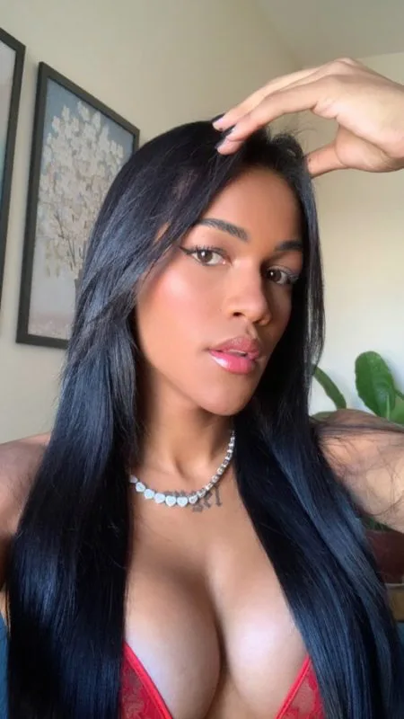 Acompanhante Trans Andressa Castellani em Brasília - Foto 18 - Transex Brasil