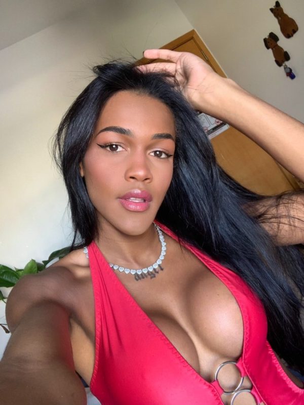 Acompanhante Trans Andressa Castellani em Brasília