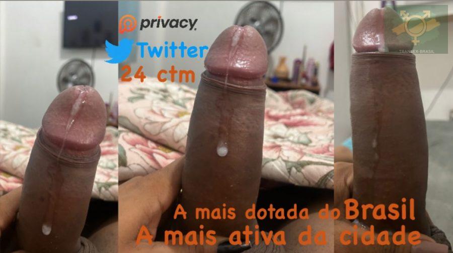 Anne 24cm