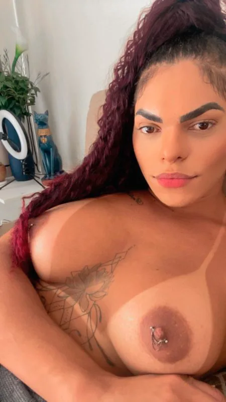 Acompanhante Trans Annye Rocha em Campos dos Goytacazes - Foto 26 - Transex Brasil
