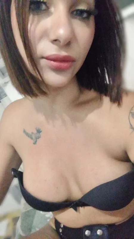 Acompanhante Trans Ariella Fox em Santo André - Foto 85 - Transex Brasil