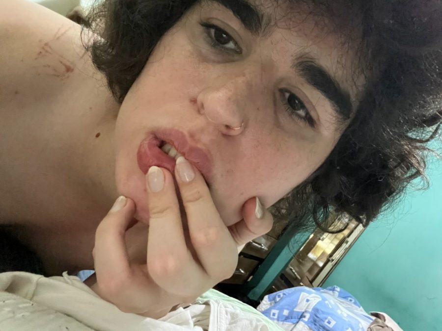 Acompanhante Trans Artemís Borges em Belo Horizonte - Foto 11 - Transex Brasil