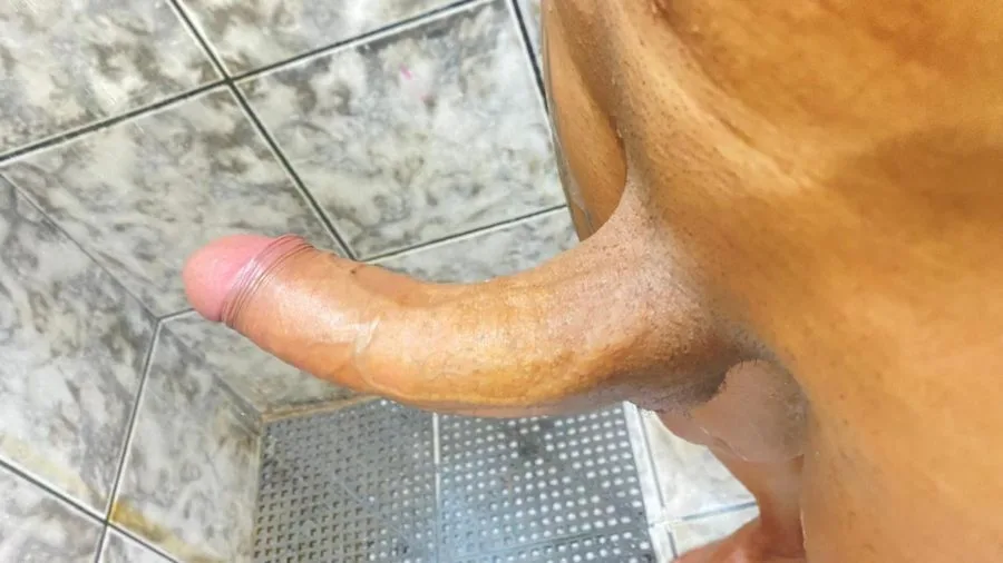 Acompanhante Trans Ayalla Indiazinha em Ferraz de Vasconcelos - Foto 57 - Transex Brasil