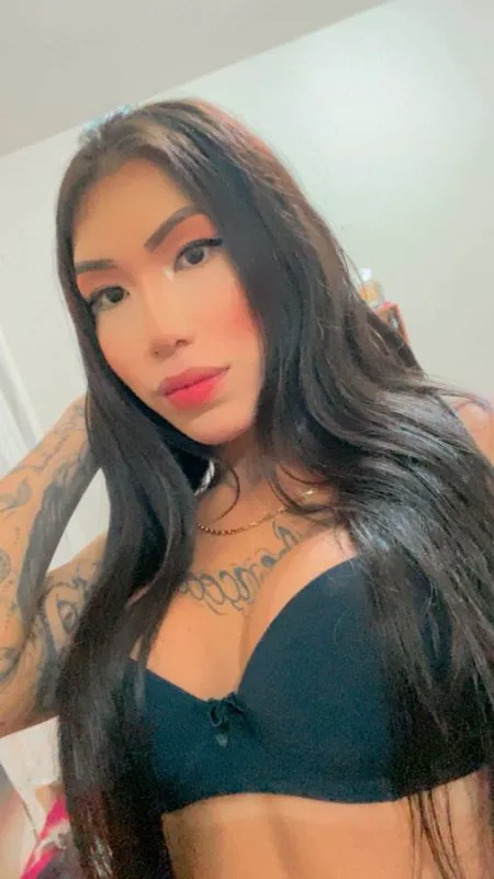 Acompanhante Trans Aylla Victória em São José - Foto 49 - Transex Brasil
