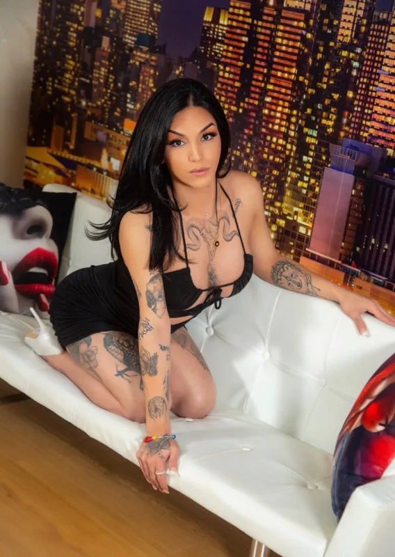 Acompanhante Trans Barbara Bellucci em Santo André - Foto 23 - Transex Brasil