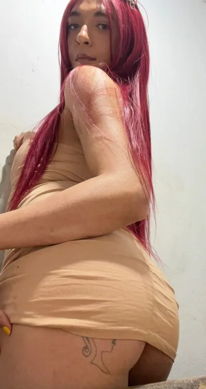 Acompanhante Trans Barbara Dotada em Marília - Foto 25 - Transex Brasil