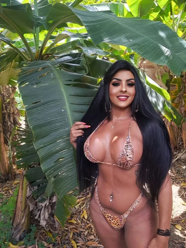 Acompanhante Trans Bárbara Souza em Ribeirão Preto - Foto 78 - Transex Brasil