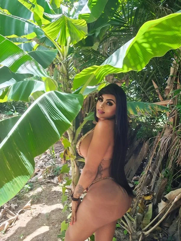 Acompanhante Trans Bárbara Souza em Ribeirão Preto - Foto 82 - Transex Brasil