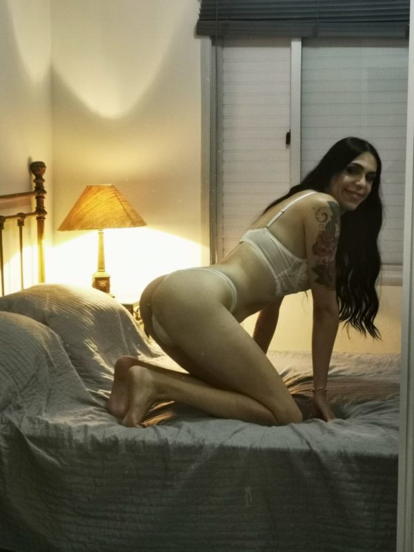 Acompanhante Trans Branquinha Passiva em Sumaré - Foto 30 - Transex Brasil