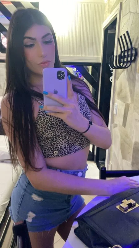Acompanhante Trans Brenda Gloss - Sem Local em São José do Rio Preto - Foto 64 - Transex Brasil