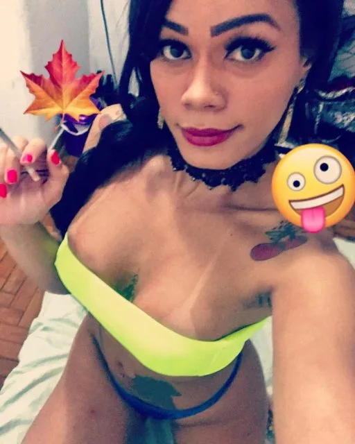 Acompanhante Trans Carolina Oliveira em Balneário Camboriú - Foto 84 - Transex Brasil