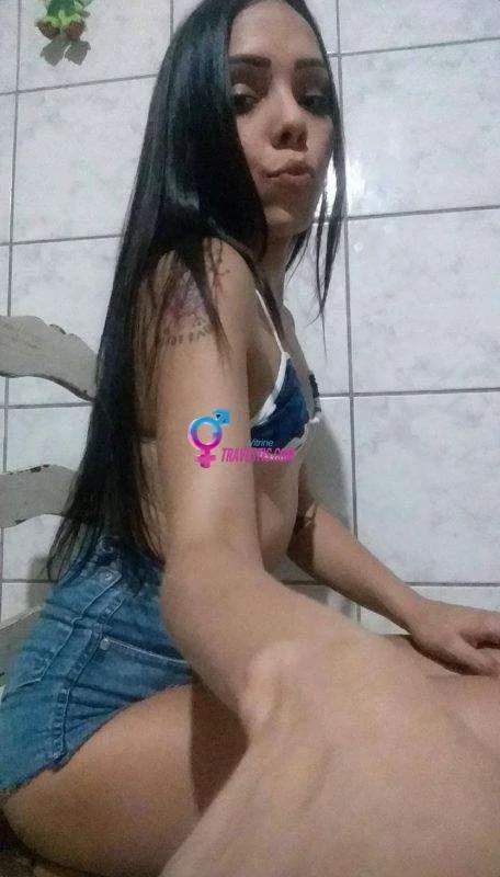 Dani Silva - Sem local