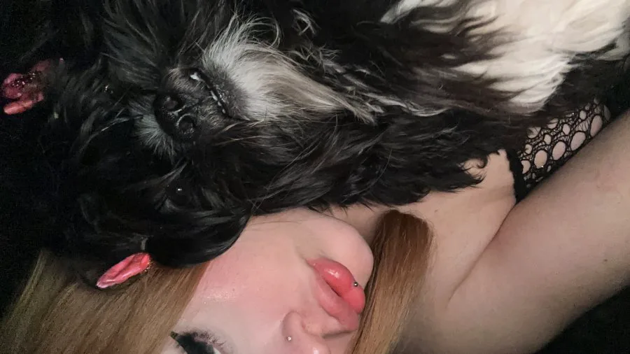Acompanhante Trans Duda Ruivinha em Campinas - Foto 78 - Transex Brasil