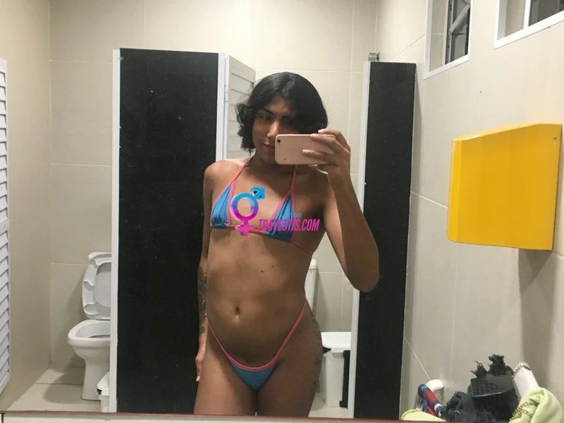Transex acompanhante Feira de Santana,  Emilly Indiazinha