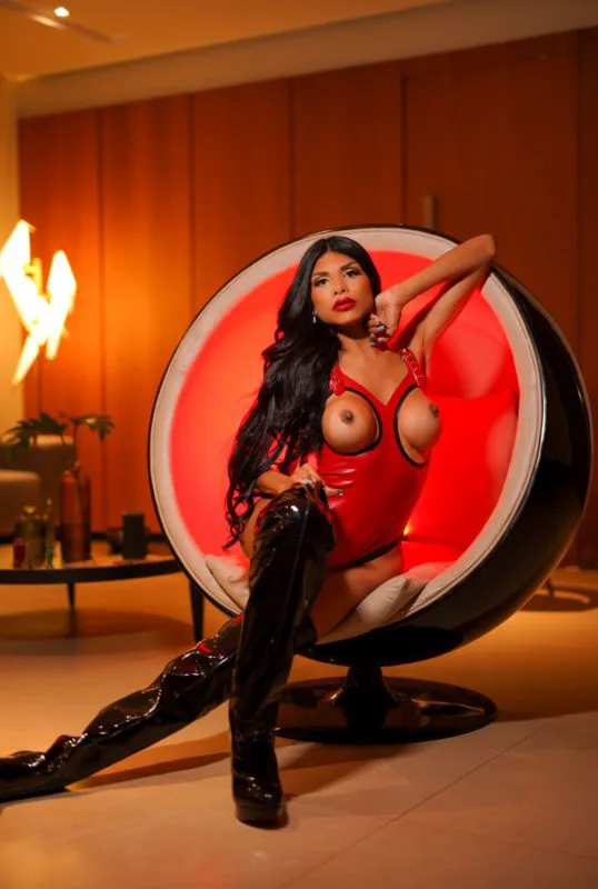 Acompanhante Trans Érika Martins em Parintins - Foto 69 - Transex Brasil