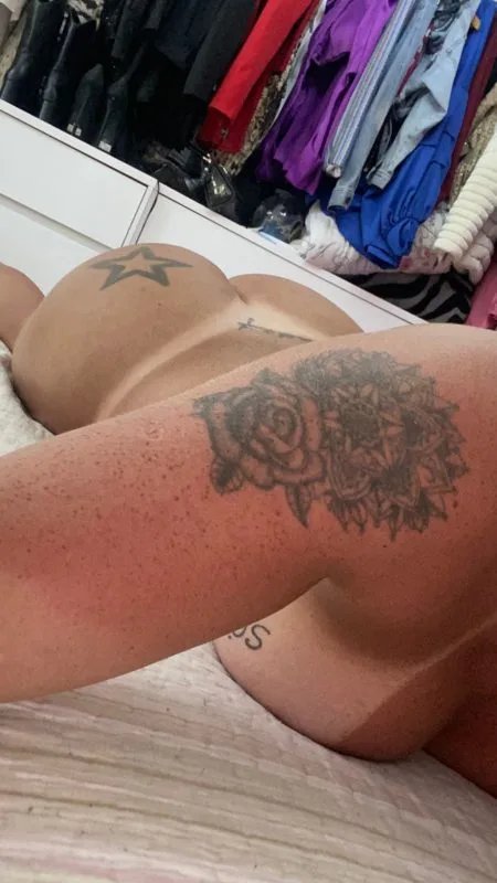 Acompanhante Trans Estrela Singular em Goiânia - Foto 24 - Transex Brasil
