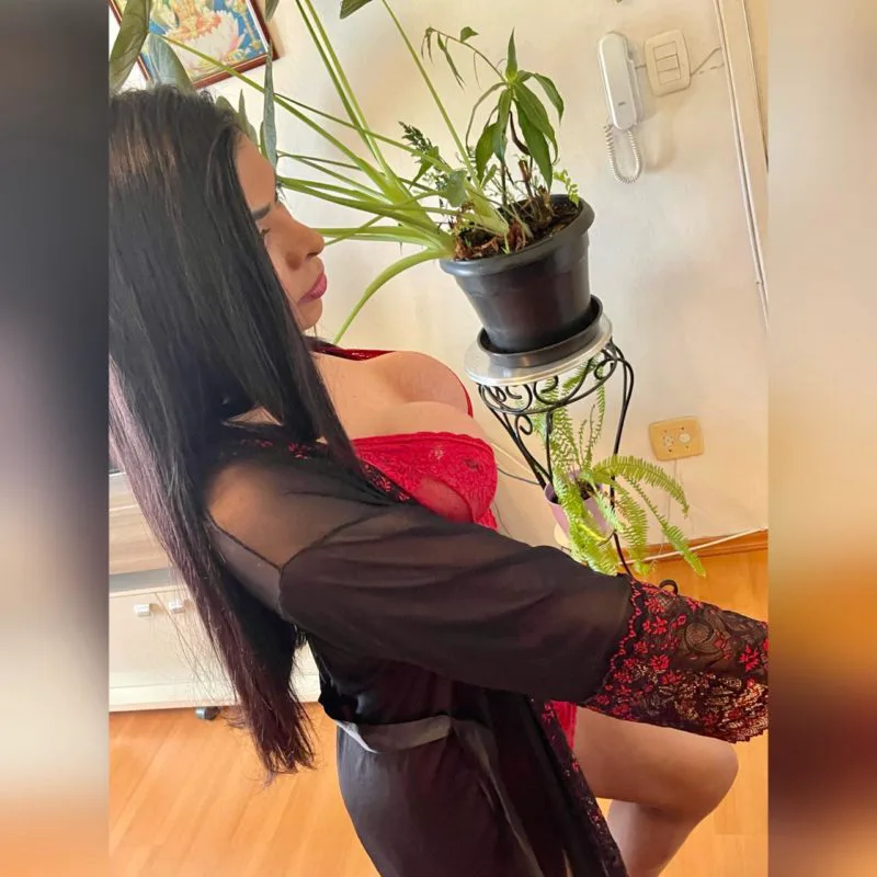 Acompanhante Trans Eveliny Dolls em Erechim - Foto 15 - Transex Brasil