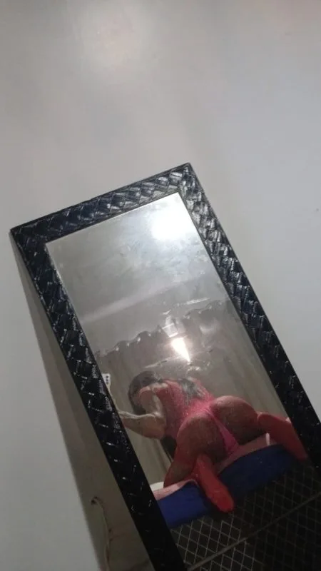 Acompanhante Trans Fernanda Rodrigues em Itajaí - Foto 63 - Transex Brasil