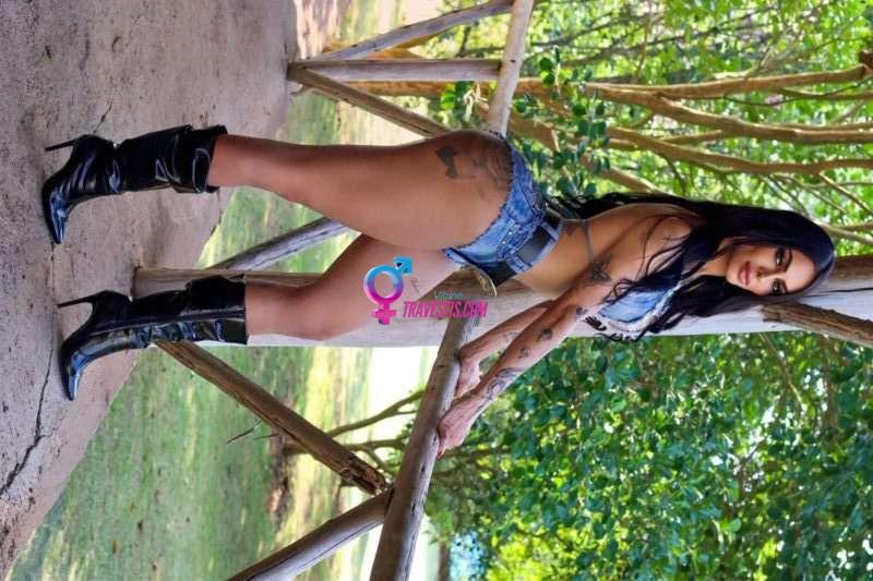 Transex acompanhante Curitiba,  Gi Angelotti