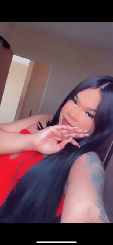 Acompanhante Trans Japinha Menininha em Ribeirão Preto - Foto 65 - Transex Brasil