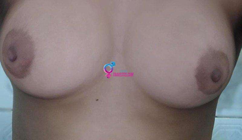 Transex acompanhante Franca,  Jhenifer Kelly