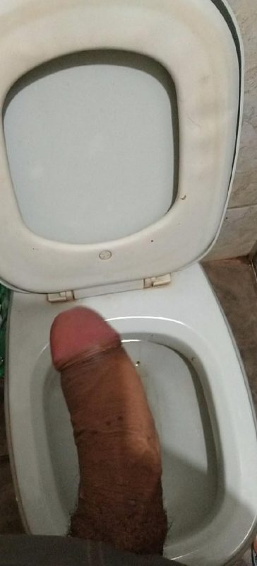 Acompanhante Trans Júlia Nogueira em Santo André - Foto 4 - Transex Brasil