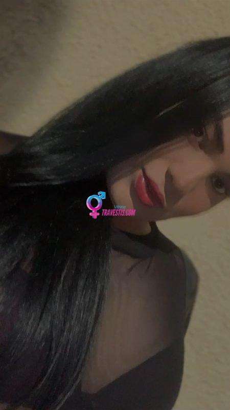 Transex acompanhante Ribeirão Preto,  Katia Dary