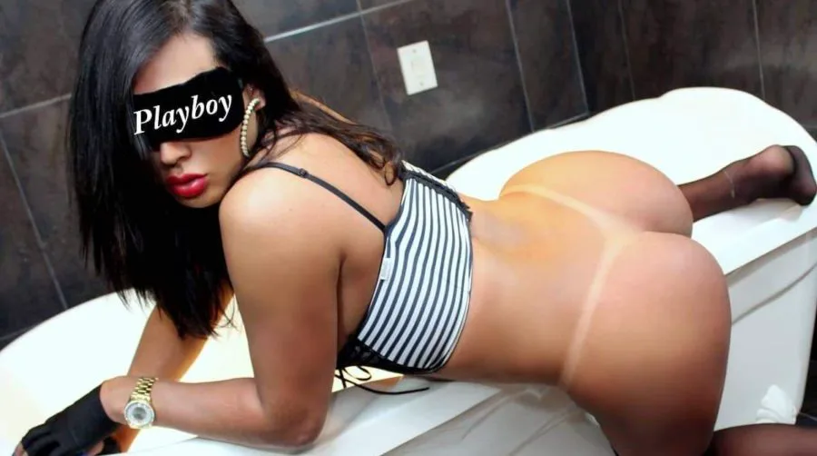 Acompanhante Trans Labelly Dotada em Porto Alegre - Foto 75 - Transex Brasil