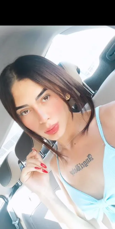 Acompanhante Trans Lara Surfistinha em Florianópolis - Foto 74 - Transex Brasil