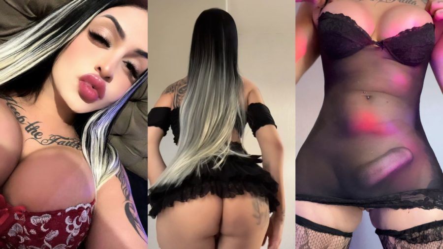 Acompanhante Trans Larissa Dotada em Florianópolis - Foto 21 - Transex Brasil