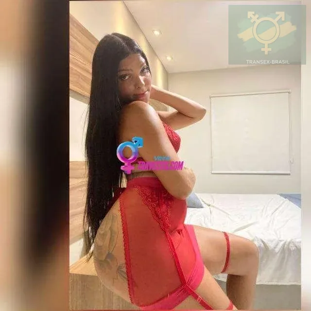 Transex acompanhante Recife,  Letícia Amorim