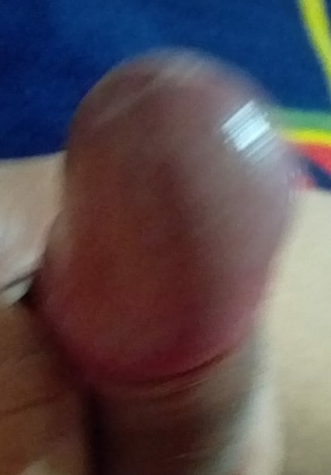 Acompanhante Trans Lia Dotada em Caxias do Sul - Foto 17 - Transex Brasil