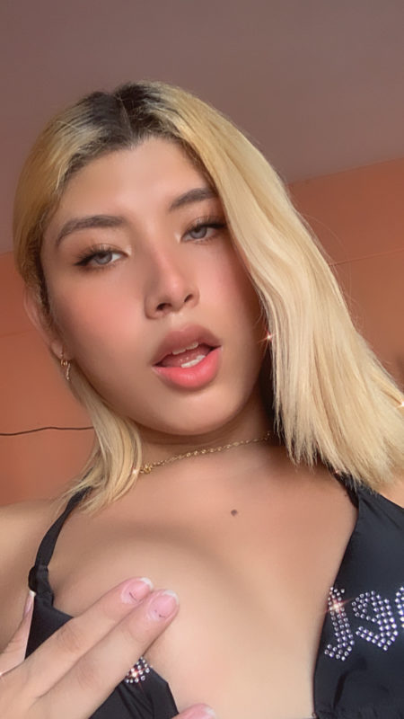 Acompanhante Trans Liz Scheneider em São Paulo - Foto 29 - Transex Brasil
