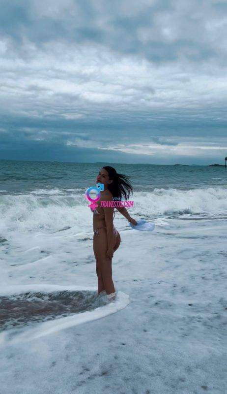 Transex acompanhante Florianópolis,  Luyza Campos