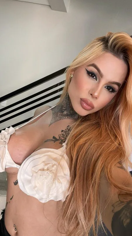 Acompanhante Trans Manu Pavanelli em Ribeirão Preto - Foto 56 - Transex Brasil