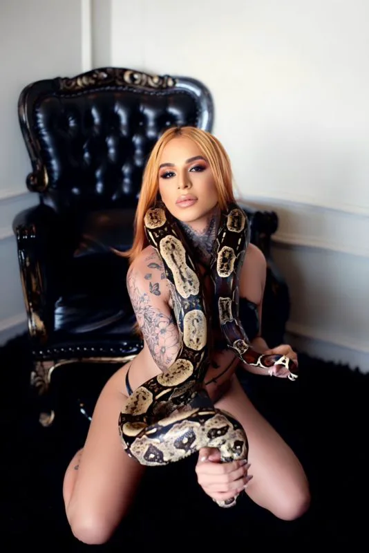 Acompanhante Trans Manu Pavanelli em Ribeirão Preto - Foto 87 - Transex Brasil