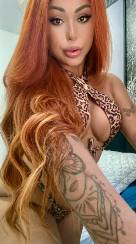 Acompanhante Trans Maytê Souza em Fortaleza - Foto 80 - Transex Brasil