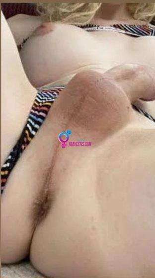 Transex acompanhante Ponta Grossa,  Milena Padilha