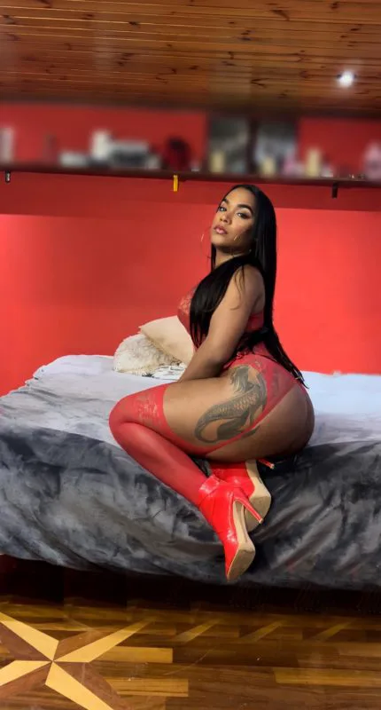 Acompanhante Trans Milly Oliveira em Camaçari - Foto 12 - Transex Brasil