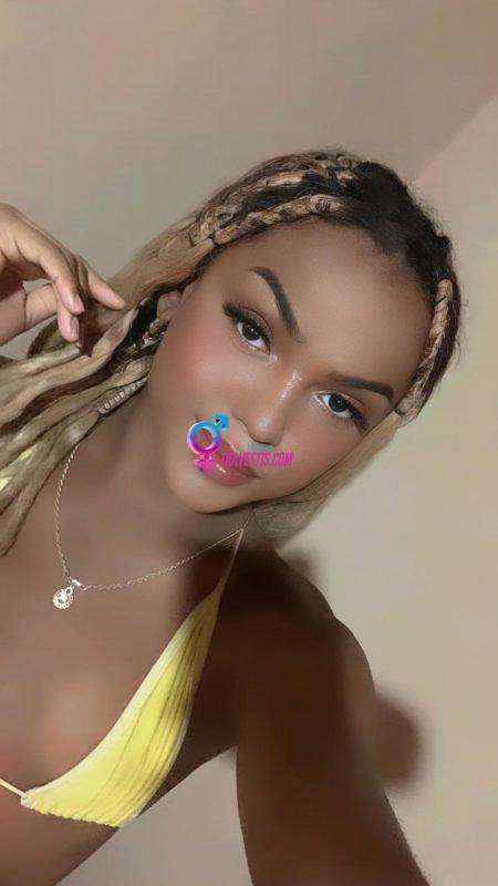 Transex acompanhante Campo Grande,  Mirelly Motta