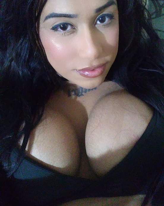 Acompanhante Trans Morena Praiana em Florianópolis - Foto 62 - Transex Brasil