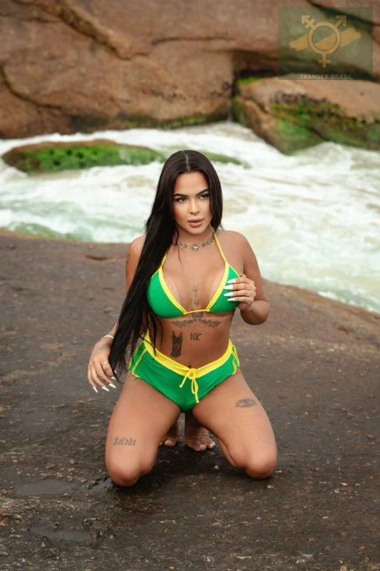 Nic Vinhedos