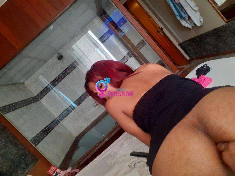 Transex acompanhante Rio de Janeiro,  Novinha Gulosinha