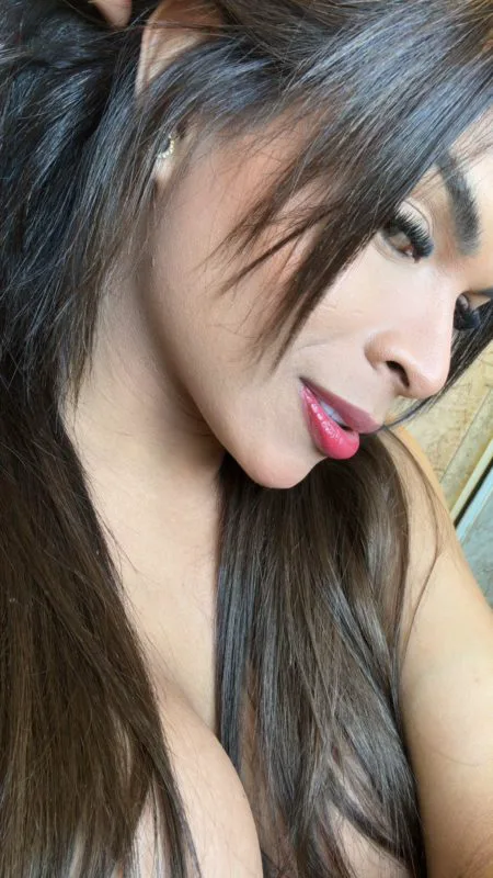 Acompanhante Trans Paloma Evelym em Toledo - Foto 96 - Transex Brasil