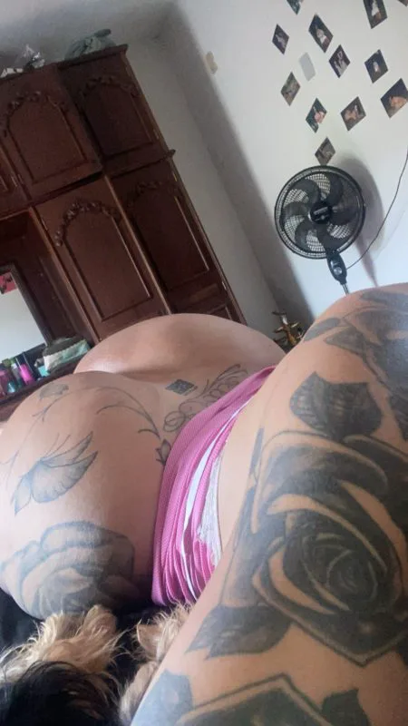 Acompanhante Trans Priscilla Trans em Varginha - Foto 94 - Transex Brasil